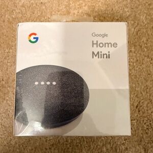 Google Home Mini in Charcoal